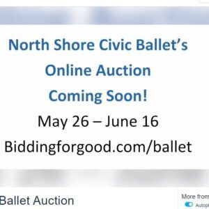 ScreenHunter_17-300x300 | Marblehead School of Ballet and Dance ScreenHunter_17-300x300