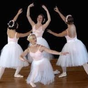 donate | Marblehead School of Ballet and Dance Financial Support for North Shore Civic Ballet.